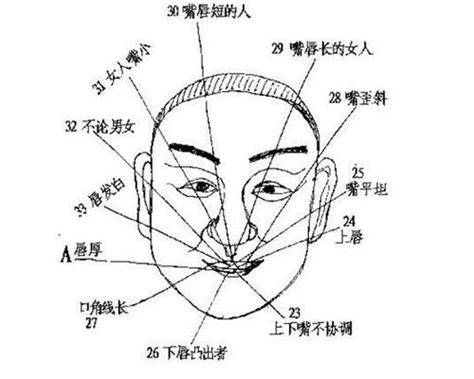 身体部位 门牙大面相